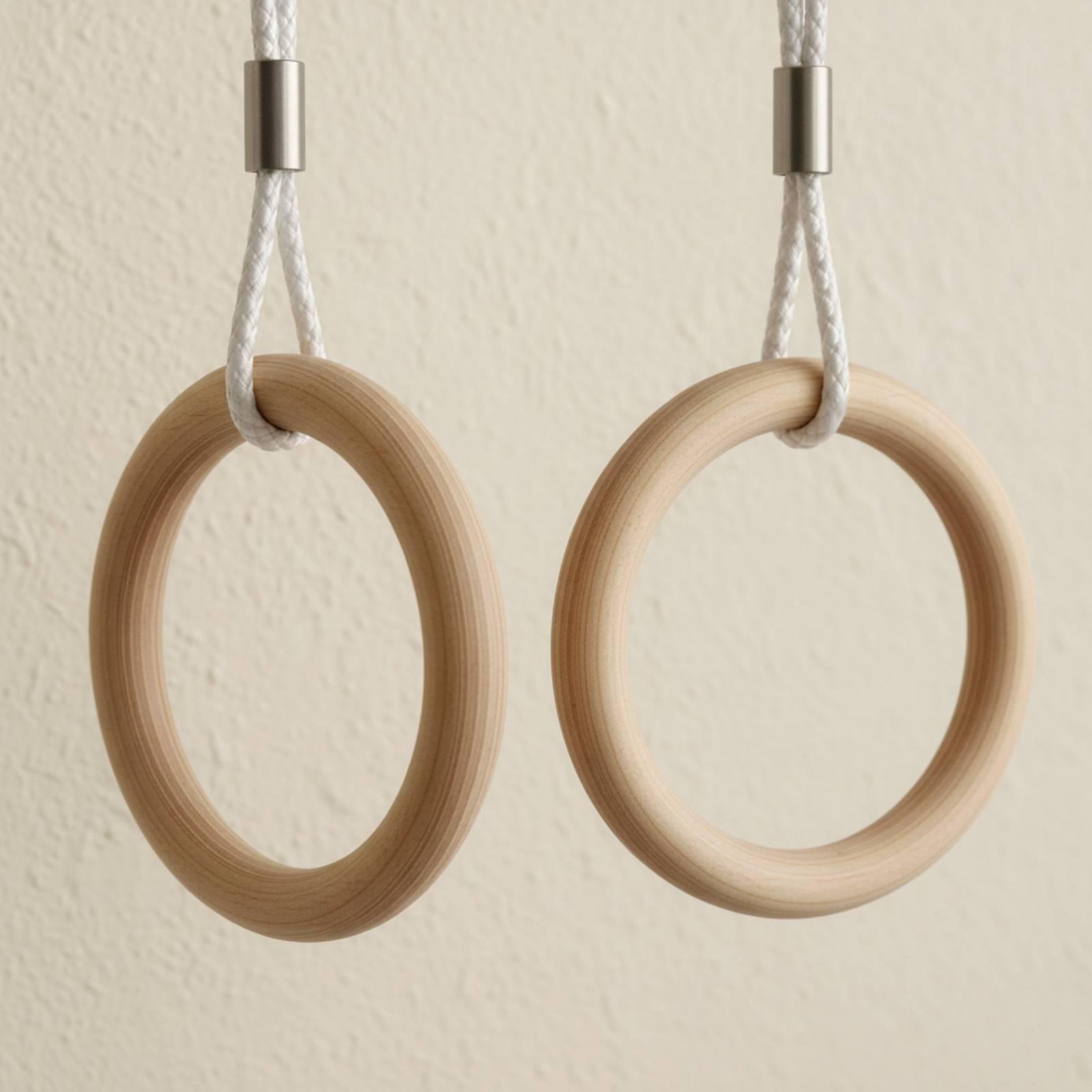 Anéis de Ginástica Ajustáveis  - Gymnastics Rings avaliação e preço